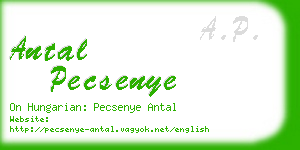 antal pecsenye business card